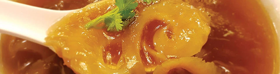 Shark-fin-photo